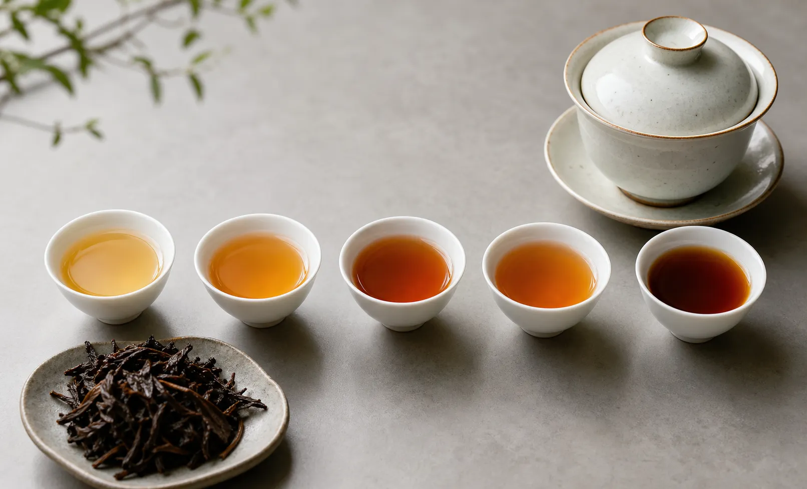Series of small black tea cups showing lighter, fuller, and fading liquor across repeated gongfu infusions