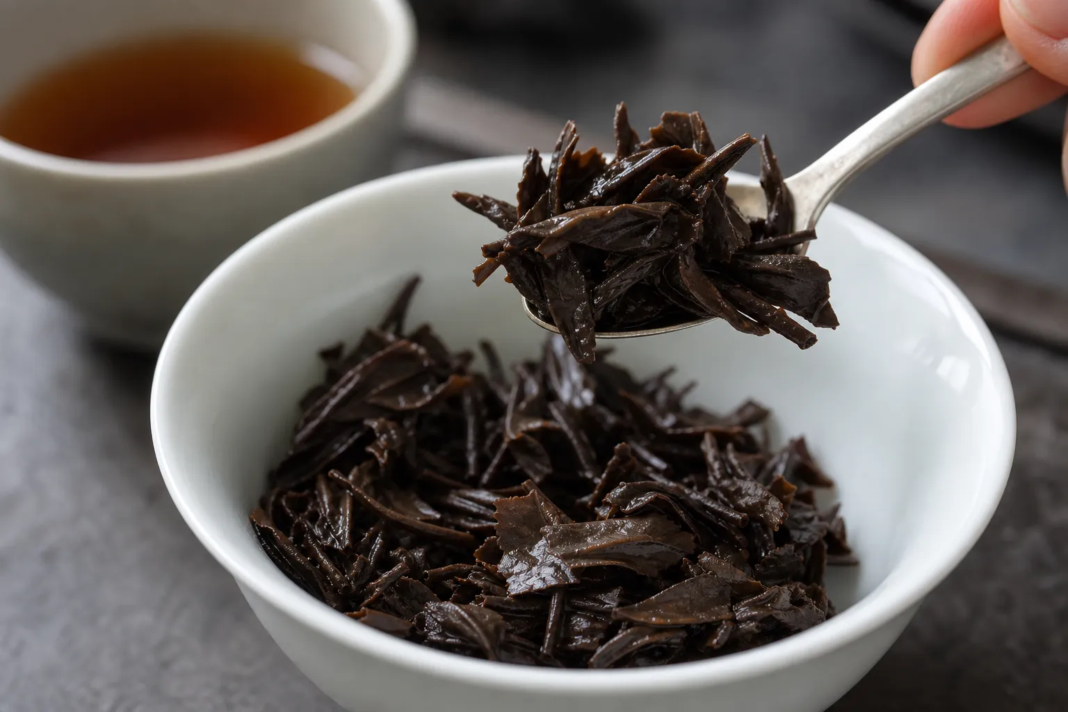 Wet black tea leaves after a first infusion being checked for aroma, openness, and remaining strength